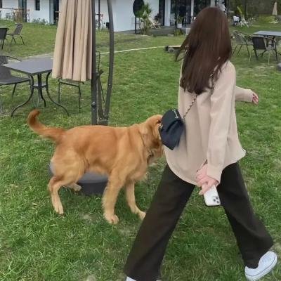 闭门一家千粤语